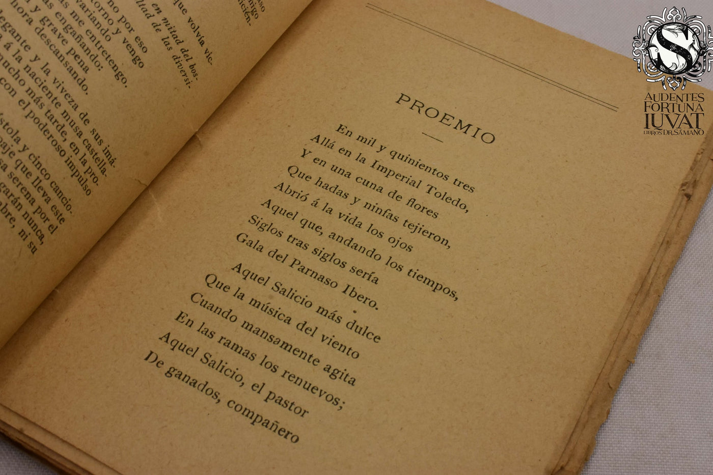 FLÉRIDFA Y GARCILASO -  José Peón y Contreras