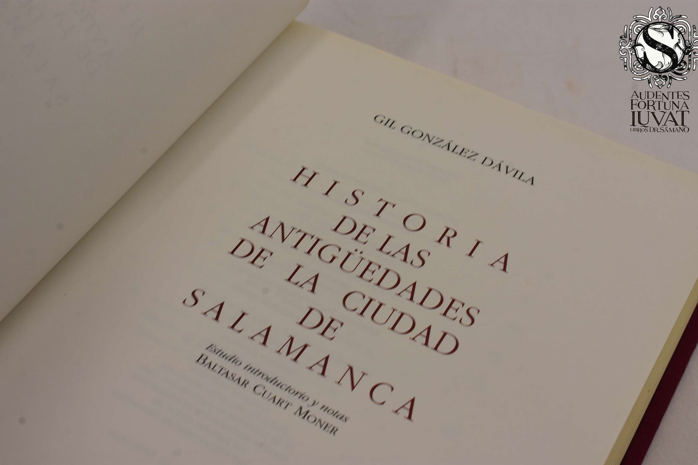 HISTORIA DE LAS ANTIGÜEDADES DE LA CIUDAD DE SALAMANCA - Gil González de Avila
