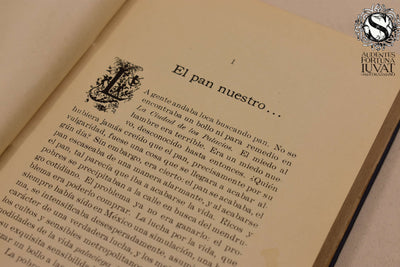 LA CIUDAD DE LOS PALACIOS - Julio Sesto