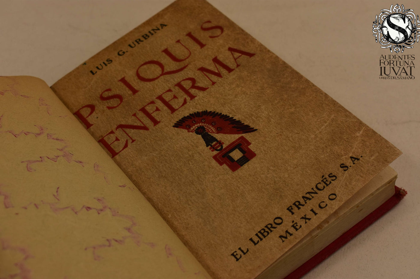 PSIQUIS ENFERMA - Luis G. Urbina