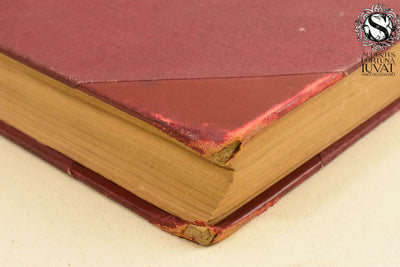REVISTA DE OCCIDENTE Tomo VII