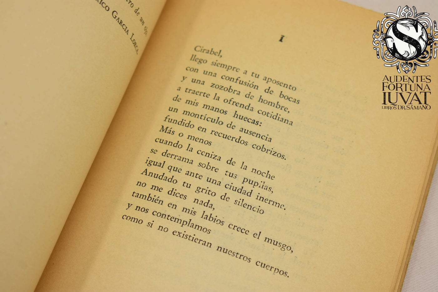 Los ojos desdoblados - HOMERO ARIDJIS