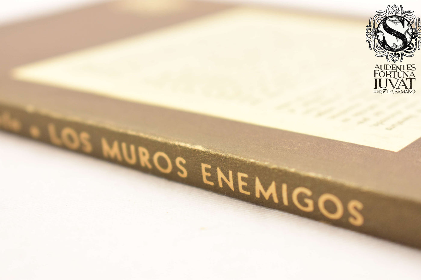Los Muros Enemigos - JUAN VIVENTE MELO