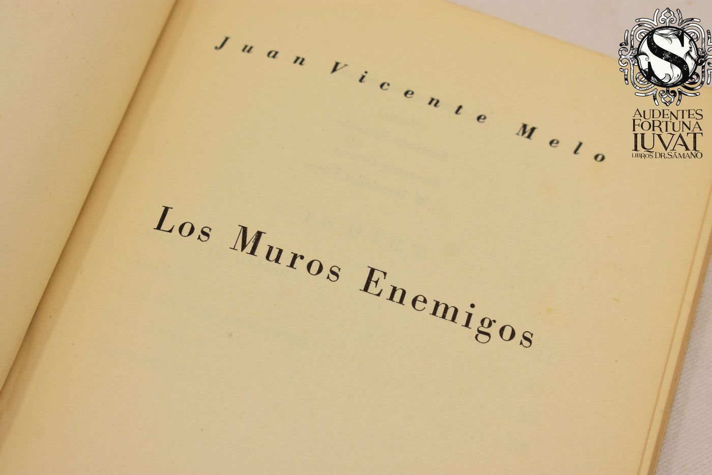 Los Muros Enemigos - JUAN VIVENTE MELO