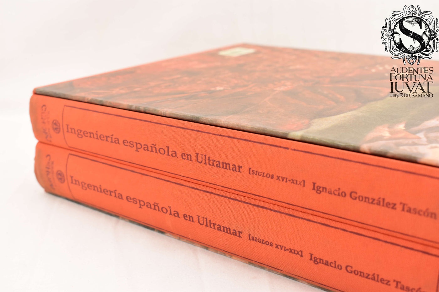 Ingeniería Española en Ultramar - IGNACIO GONZÁLEZ TASCÓN