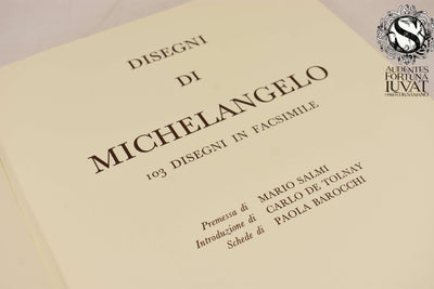 Disegni di Michelangelo - MARIO SALMI