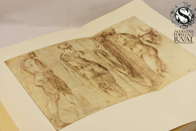 Disegni di Michelangelo - MARIO SALMI