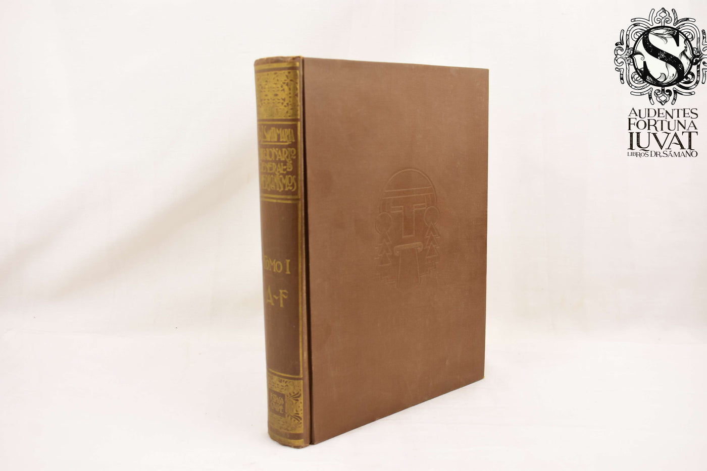 Diccionario General de Americanismos - FRANCISCO J. SANTAMARIA