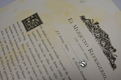 (EL ARTE). LOS TESOROS DEL ARTE DE YNGLATERRA. J. VERNON WHITAKER.