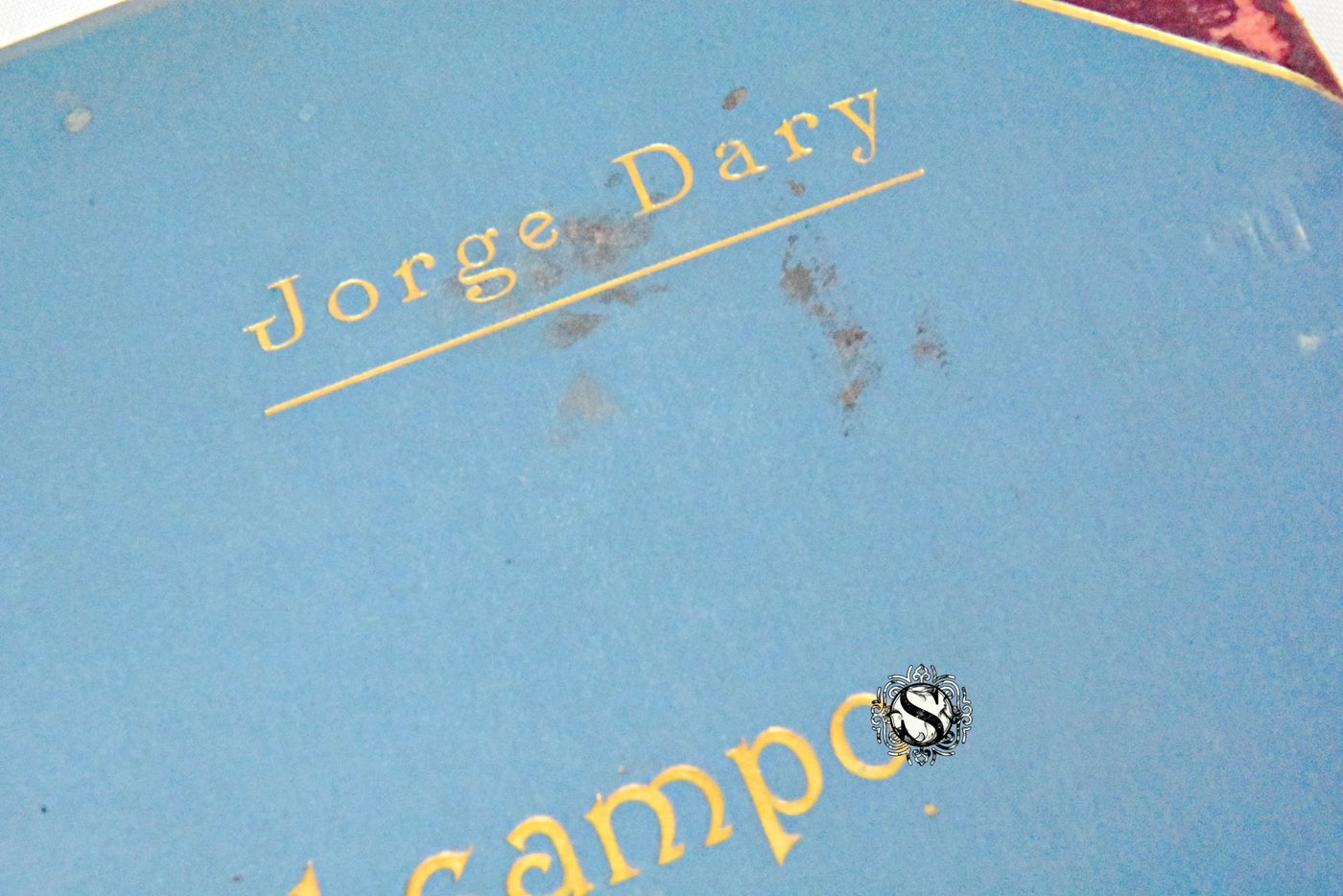 POR EL CAMPO DE LA ELECTRICIDAD. JORGE DARY.