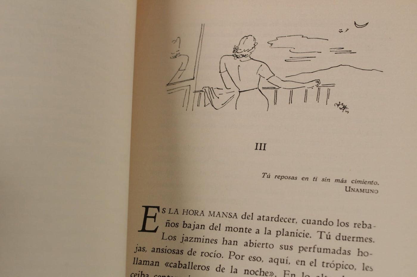 "Madréporas" SILVIA MISTRAL
