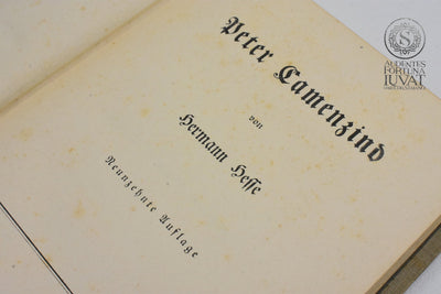 "Peter Camenzind" - HERMANN HEFFE
