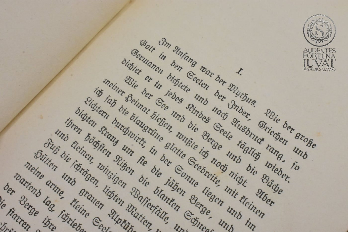 "Peter Camenzind" - HERMANN HEFFE